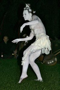 Suavis II